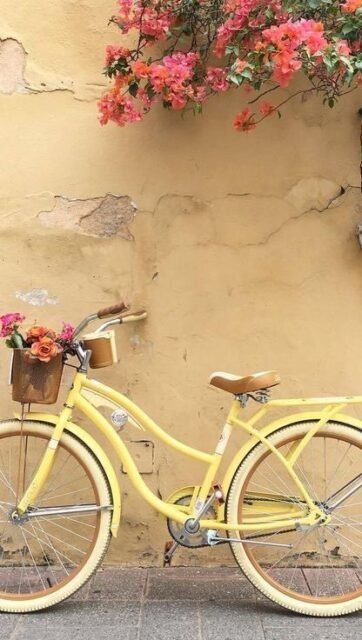 ⸻

Quand t’as perdu espoir d’avoir ta place de concert pour Sombr… 🥲
donc tu danses devant ta télé comme si t’y étais 🖤

Aujourd’hui, choper une place de concert c’est devenu une mission :
préventes, files d’attente, bots, revente hors de prix…
tout part en quelques secondes 😵‍💫

Donc on fait avec les moyens du bord 😭

—

📍 Lisou Street Vintage
Avenue de Béthusy 38B, Lausanne

🕰️ Cette semaine
Mardi & mercredi : 14h–19h
Jeudi : 14h–16h
Vendredi : 14h–19h
Samedi : 11h–18h

—

Team canapé mais même énergie ? 🫶
On en parle de cette galère ? 😭